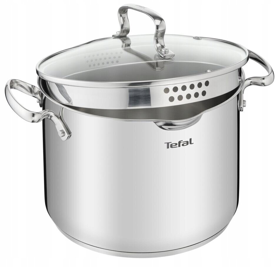 Tefal katls, 6,1 l цена и информация | Katli, tvaika katli | 220.lv