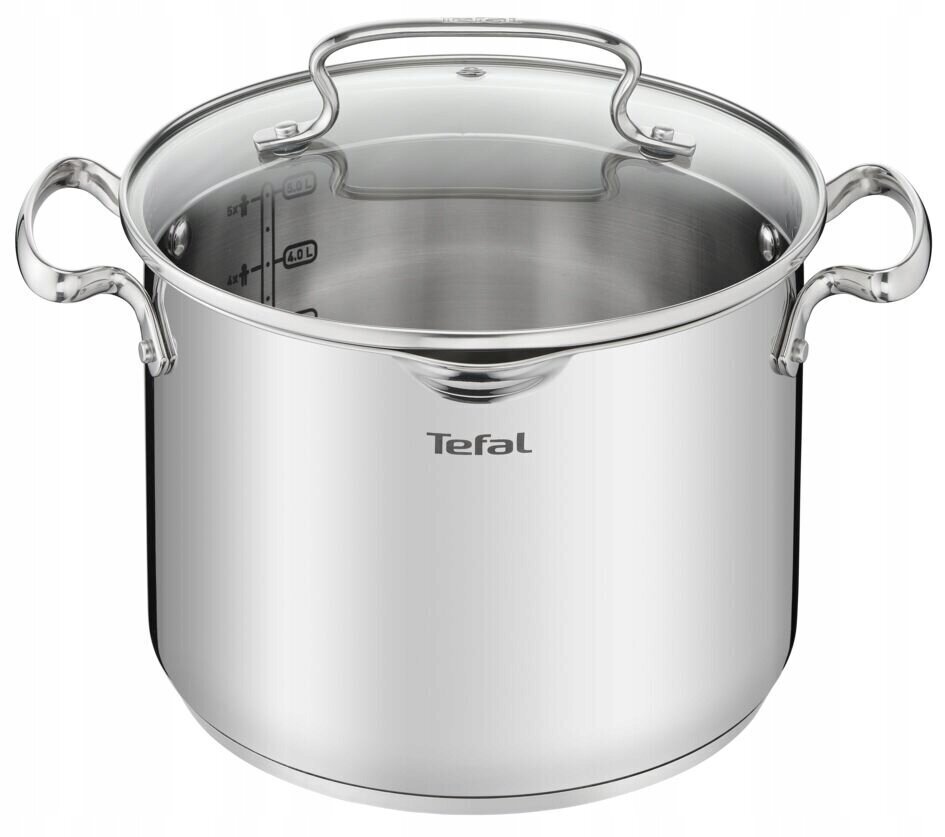 Tefal katls, 6,1 l цена и информация | Katli, tvaika katli | 220.lv