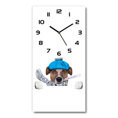 Sienas pulkstenis Slims suns cena un informācija | Pulksteņi | 220.lv