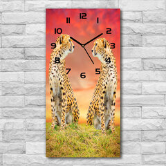 Sienas pulkstenis Divi gepardi cena un informācija | Pulksteņi | 220.lv