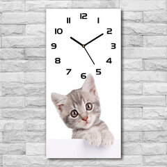 Sienas pulkstenis Pelēks kaķis цена и информация | Часы | 220.lv