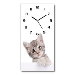 Sienas pulkstenis Pelēks kaķis cena un informācija | Pulksteņi | 220.lv