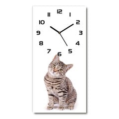 Sienas pulkstenis Kaķis cena un informācija | Pulksteņi | 220.lv