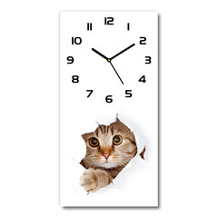 Sienas pulkstenis Kaķis cena un informācija | Pulksteņi | 220.lv
