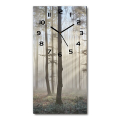 Sienas pulkstenis Migla mežā cena un informācija | Pulksteņi | 220.lv