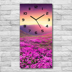 Sienas pulkstenis Rododendrona kalni cena un informācija | Pulksteņi | 220.lv