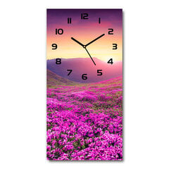 Sienas pulkstenis Rododendrona kalni cena un informācija | Pulksteņi | 220.lv