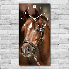 Sienas pulkstenis Zirga portrets cena un informācija | Pulksteņi | 220.lv