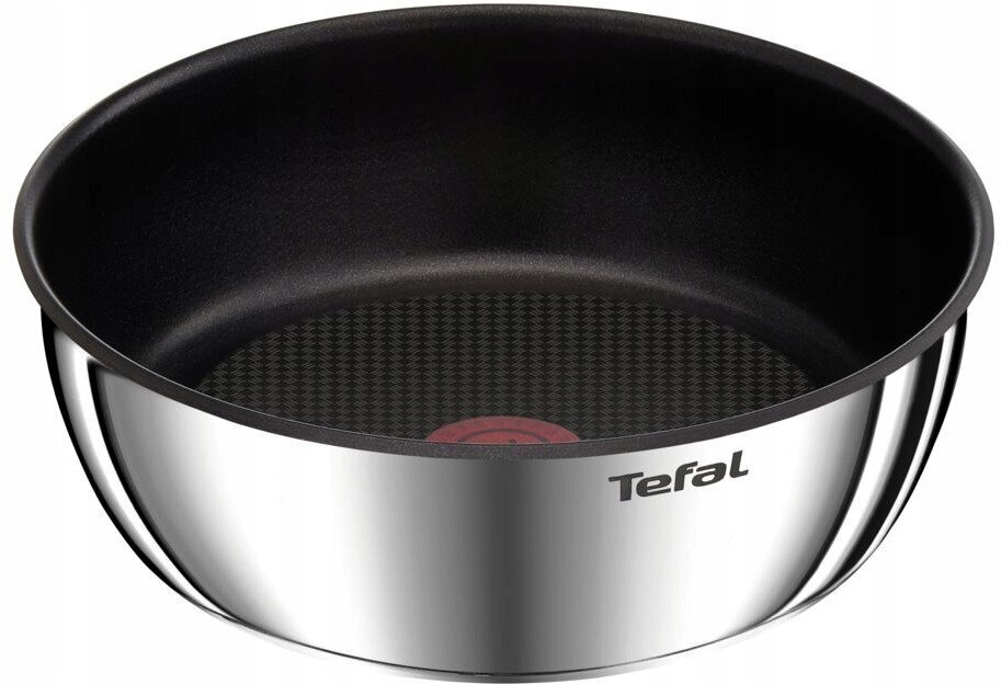 Tefal Ingenio panna, 24 cm цена и информация | Pannas | 220.lv