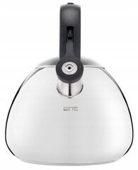 Tefal tērauda tējkanna, 2,7 l цена и информация | Чайники, кофейники | 220.lv