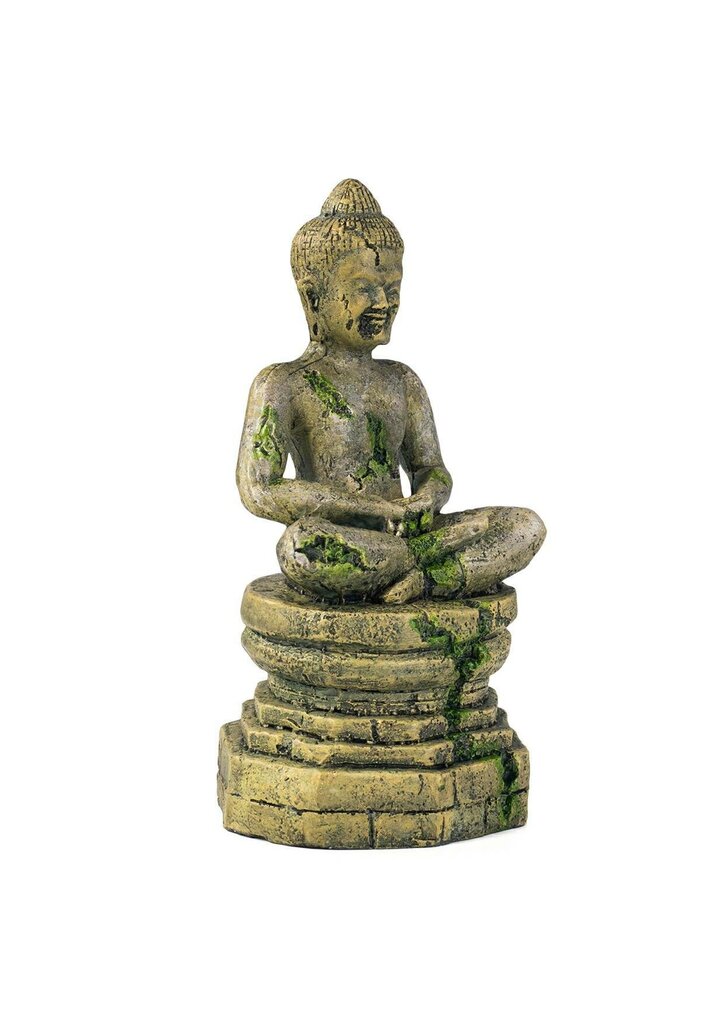 Budas ornaments R169 HINDU terra Budas ornaments цена и информация | Preces eksotiskajiem dzīvniekiem | 220.lv