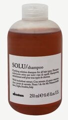 Davines SOLU Shampoo шампунь глубокого очищения 250мл цена и информация | Шампуни | 220.lv