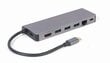 Gembird A-CM-COMBO5-05 USB-C цена и информация | Adapteri un USB centrmezgli | 220.lv