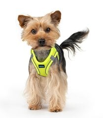 Harness air comfort XS neon lime цена и информация | Ошейники, подтяжки для собак | 220.lv