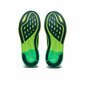 Sporta apavi vīriešiem Asics, zaļi cena un informācija | Sporta apavi vīriešiem | 220.lv