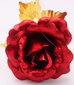 Stabilizēta roze kastītē Gordon Sarkana cena un informācija | Stabilizētās rozes, augi | 220.lv