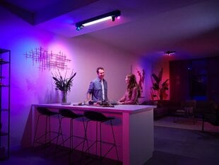 Philips Hue griestu lampa цена и информация | Потолочные светильники | 220.lv