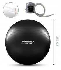 Мяч для упражнений 75 см, черный цена и информация | Гимнастические мячи | 220.lv
