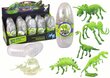 3D dinozaura skelets olā Lean Toys, 1 gab. cena un informācija | Rotaļlietas zēniem | 220.lv