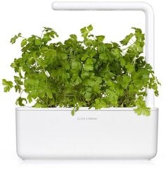 Click & Grow Smart Garden uzpilde Parastais pētersīlis 3gb. cena un informācija | Garšvielu sēklas | 220.lv