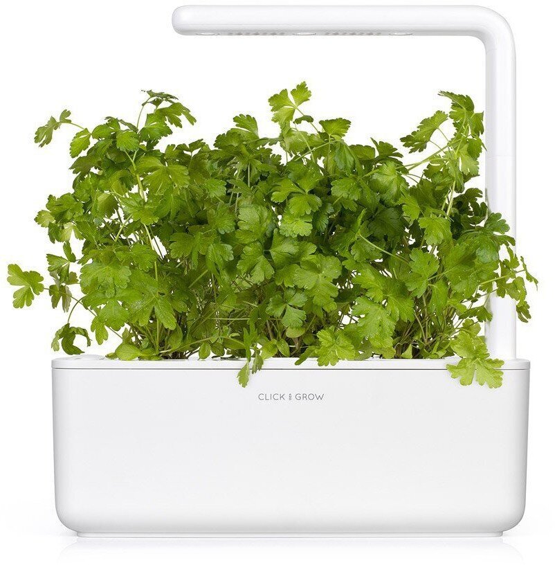Click & Grow Smart Garden uzpilde Parastais pētersīlis 3gb. цена и информация | Garšvielu sēklas | 220.lv