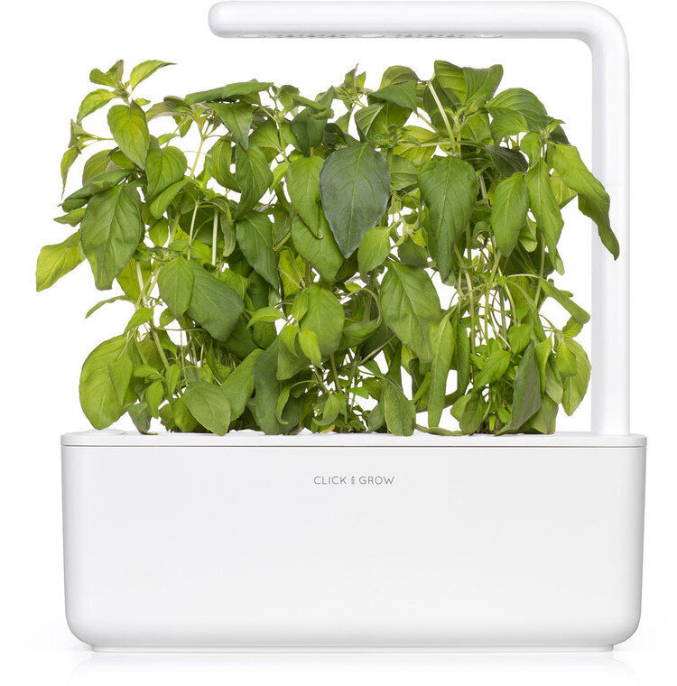 Click & Grow Smart Garden uzpilde Lime Basil 3gab cena un informācija | Garšvielu sēklas | 220.lv