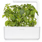 Click & Grow Smart Garden uzpilde Lime Basil 3gab cena un informācija | Garšvielu sēklas | 220.lv