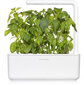 Click & Grow Smart Garden uzpilde Lime Basil 3gab цена и информация | Garšvielu sēklas | 220.lv