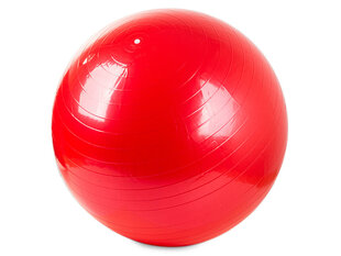 Гимнастический мяч с насосом, 65см, Красный цена и информация | Гимнастические мячи | 220.lv