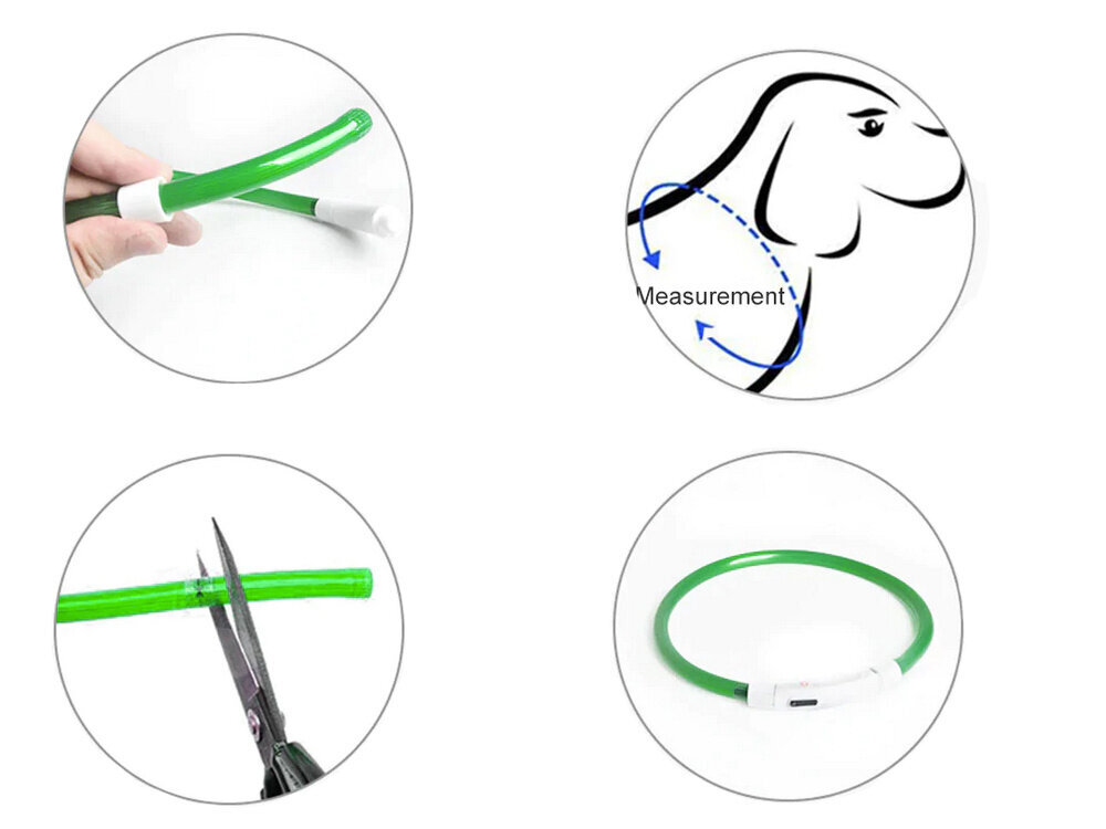 LED kaklasiksna suņiem, balta cena un informācija | Apkakles, siksnas suņiem | 220.lv