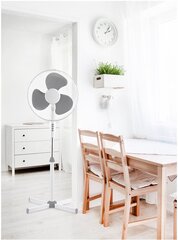 Platinet ventilators 16", pelēks 44735 cena un informācija | Platinet Mājai un remontam | 220.lv