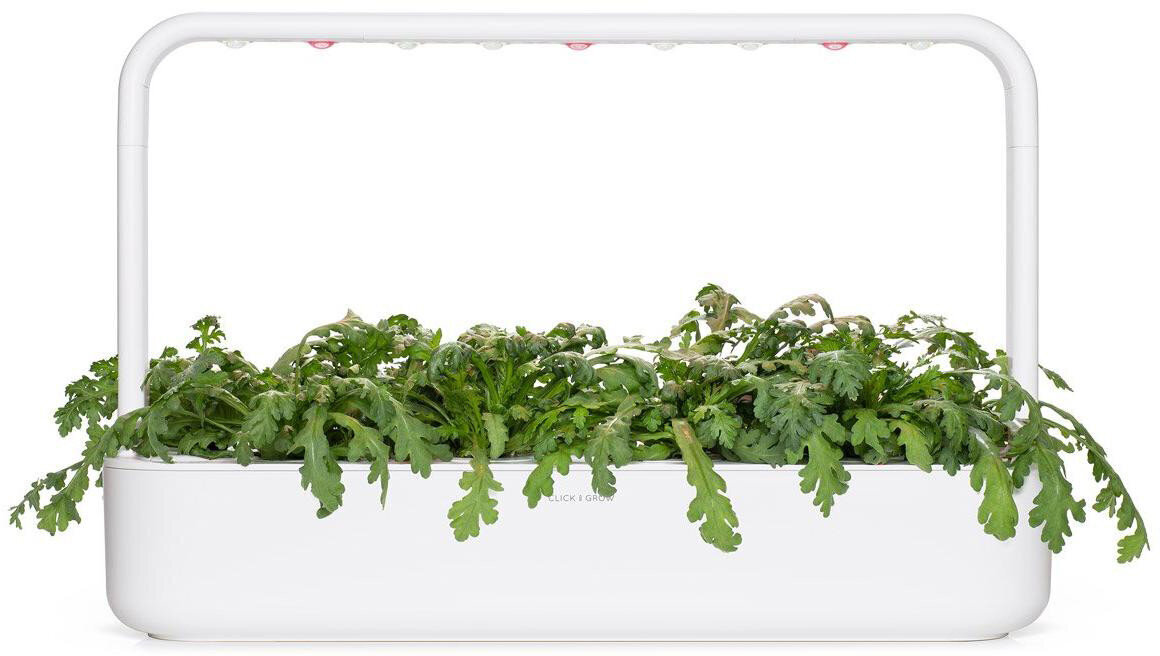 Sinepes Shungiku Smart Garden Click & Grow, 3 gab cena un informācija | Garšvielu sēklas | 220.lv