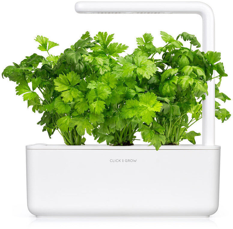Selerija Smart Garden Click & Grow Refill, 3 gab цена и информация | Dārzeņu, ogu sēklas | 220.lv