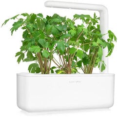 Click & Grow Smart Garden refill Любисток 3 шт. цена и информация | Семена приправ | 220.lv