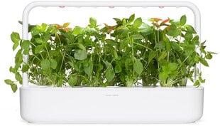 Citronu baziliks Smart Garden Click & Grow, 3 gab цена и информация | Семена приправ | 220.lv