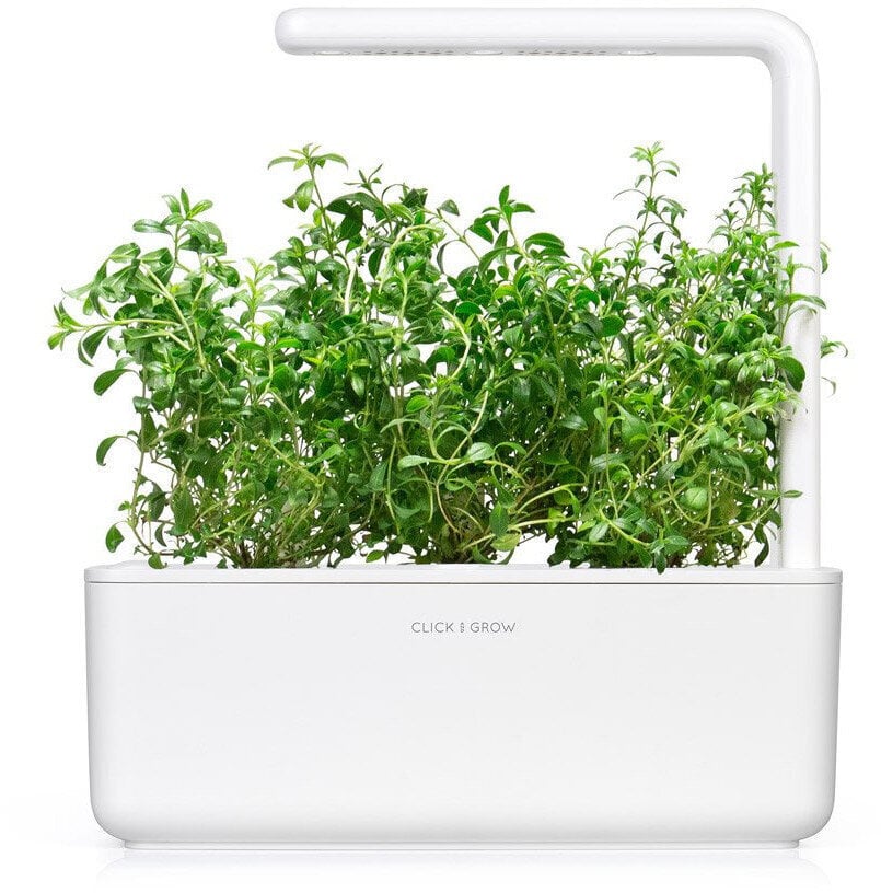 Timiāns Mountain Savory Smart Garden Click & Grow, 3 gab цена и информация | Garšvielu sēklas | 220.lv