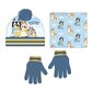 Cepures, cimdu un šalles komplekts zēniem Bluey Boy, zils цена и информация | Cepures, cimdi, šalles zēniem | 220.lv
