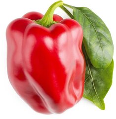 Click & Grow Smart Garden uzpilde Sarkanā paprika 3gb. цена и информация | Семена овощей, ягод | 220.lv