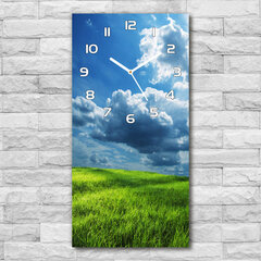Sienas pulkstenis Mākoņi virs lauka цена и информация | Часы | 220.lv
