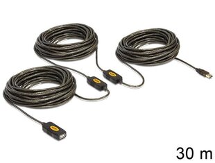 Delock 83453, USB-A M/F, 30 m cena un informācija | Kabeļi un vadi | 220.lv
