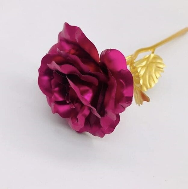 Stabilizēta mūžīgā roze kastītē, rozā цена и информация | Stabilizētās rozes, augi | 220.lv