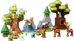 LEGO® Duplo 10979 Eiropas savvaļas dzīvnieki cena un informācija | Konstruktori | 220.lv