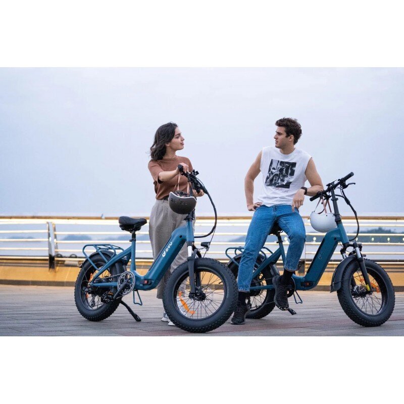 Elektriskais velosipēds DYU FF500, 20", zils cena un informācija | Elektrovelosipēdi | 220.lv