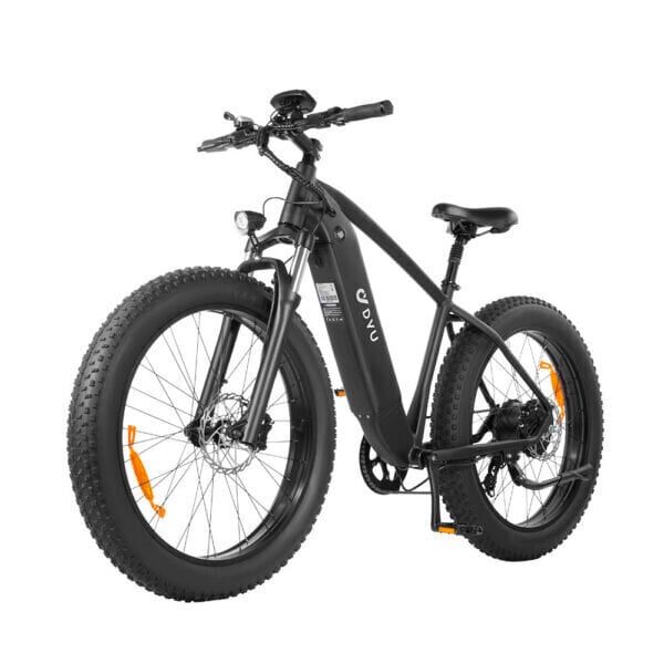 Elektriskais velosipēds DYU KING 750, 26", melns цена и информация | Elektrovelosipēdi | 220.lv