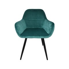 Krēsls, 2 gab., zaļš cena un informācija | Virtuves un ēdamistabas krēsli | 220.lv
