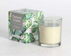 Ароматическая свеча в стакане NATURE GREEN H9,5 см, Evergreen