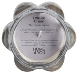 Ароматическая свеча в стакане NATURE GREEN H9,2см, Southern Night цена и информация | Подсвечники, свечи | 220.lv