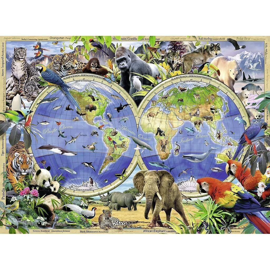 Ravensburger puzle 300 gabali Pasaules atlants ar dzīvniekiem cena un informācija | Puzles, 3D puzles | 220.lv