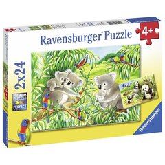 Пазл Ravensburger 2х24 шт Коалы и панды цена и информация | Пазлы | 220.lv