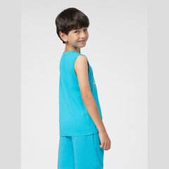 T-krekls zēniem 4f, zils cena un informācija | Zēnu krekli | 220.lv
